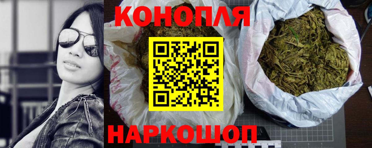 Бошки Шишки гибрид Глазов